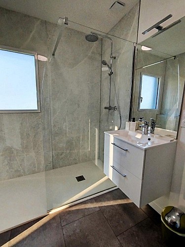 saint-andre-sur-sevre-gite-la-roche-du-halais-salle-de-bain