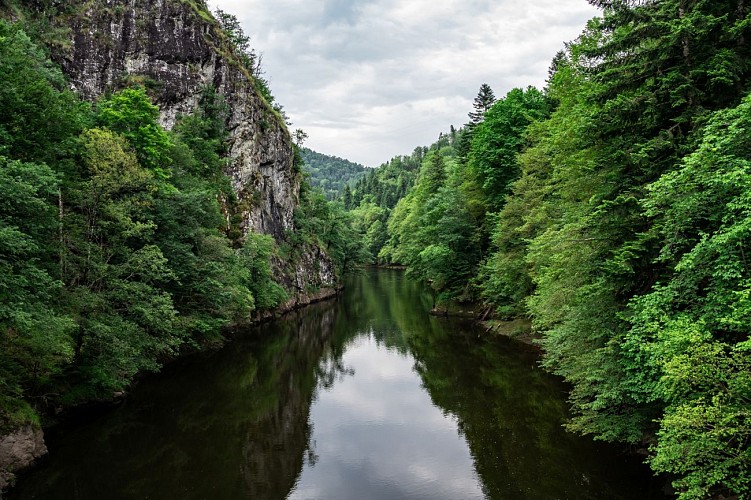 Les gorges de la Rhue