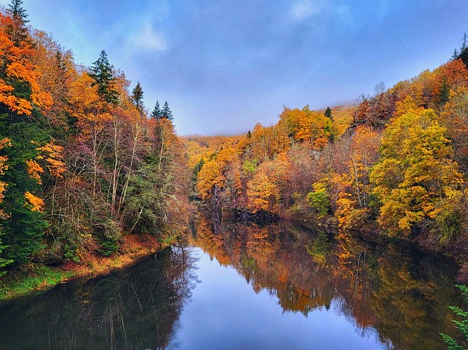 Les gorges de la Rhue