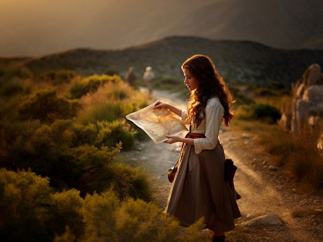 Panda Motion 3 800x600