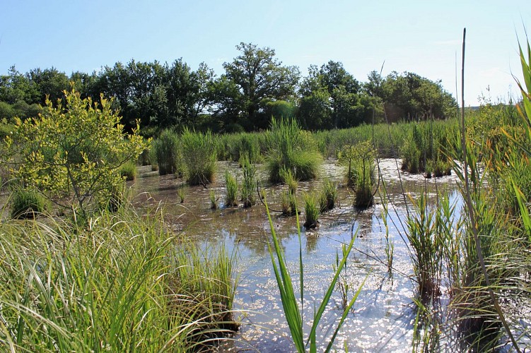 Une réserve naturelle
