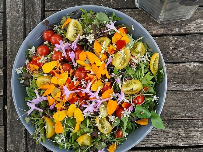 TS_2025-autre campagne (0)