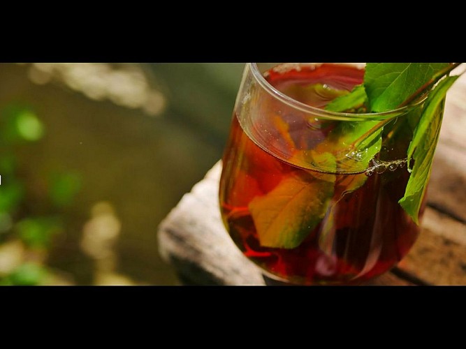 TS_2025-autre campagne (02)