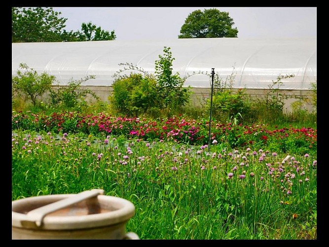 TS_2025-autre campagne (05)