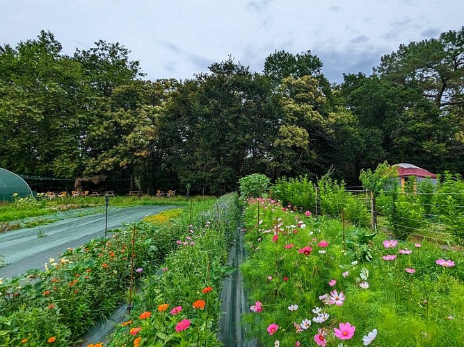 TS_2025-autre campagne (06)