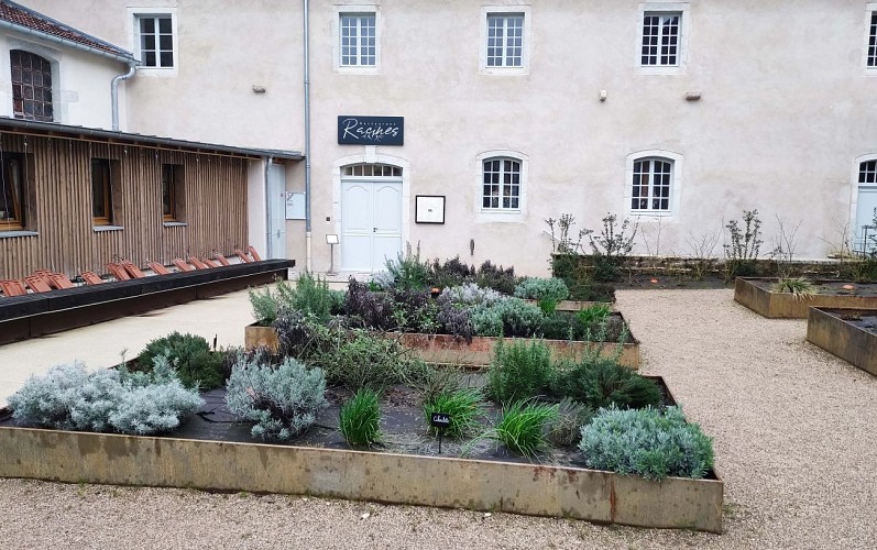 R IMG_20250313_151449