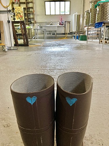 PCU_cany_brasserie-phare©morand-2022 (7)