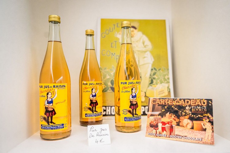 Museo Firmin Bouisset