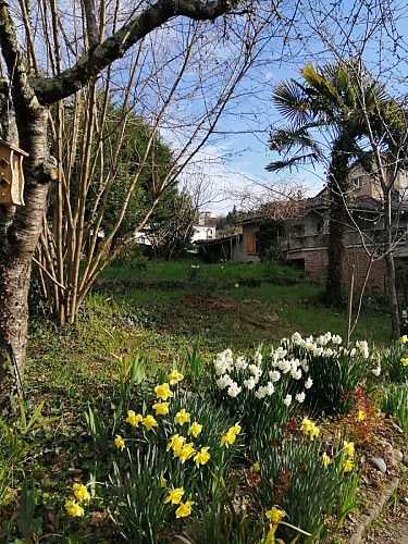 Comme un air de Voyage