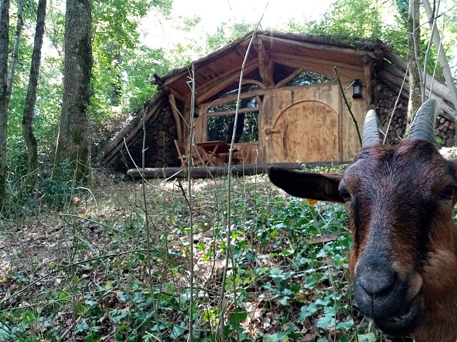 La maison de hobbit - Colline de boutiès