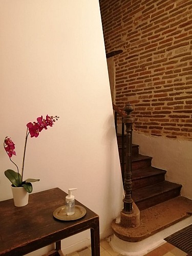 Comme une Parenthèse