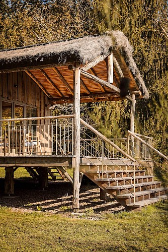 Illustration page insolite