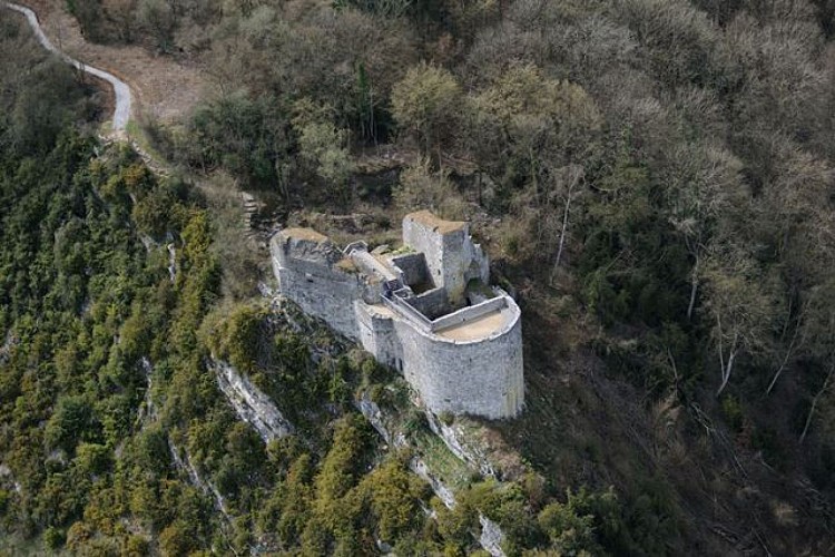 La tour de Crèvecœur et les ruines du château comtal
