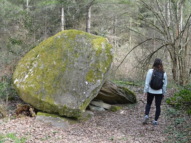 Dolmen de la Goupillère