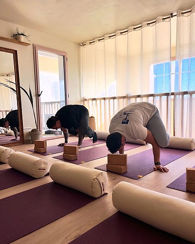 Fusion Yoga café posture 2