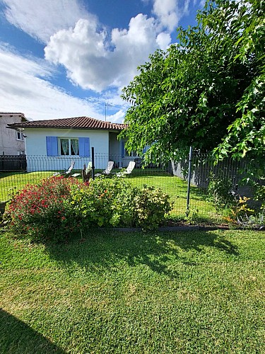 Pierre Darcy Les cocottes