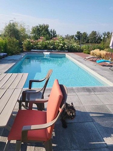 Piscine-le-cerf-darcy