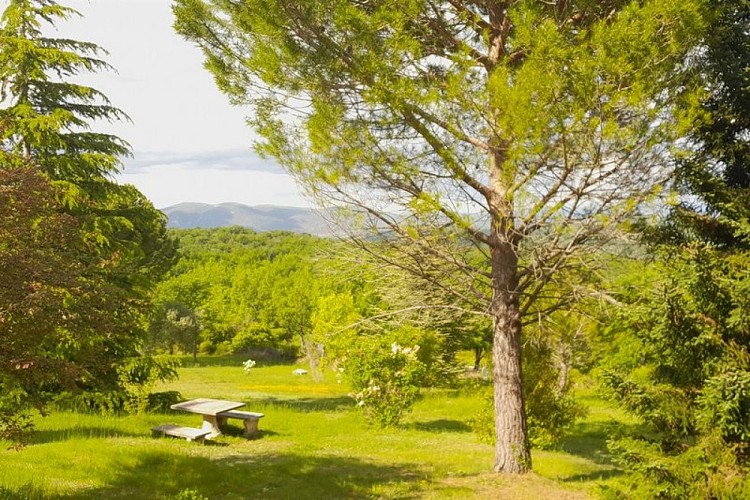 Arboretum d'Auribeau