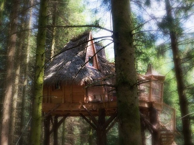 La clairière aux cabanes