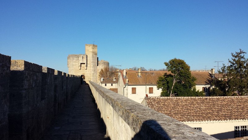 Visite des remparts d'Aigues-Mortes et de la tour de Constance