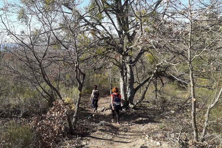 Sentier du Coteau de Bruny