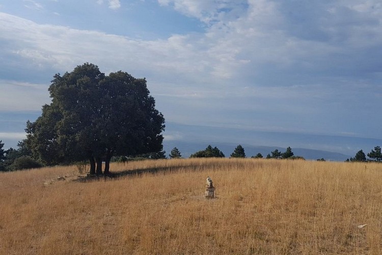 Crêtes du Grand Luberon