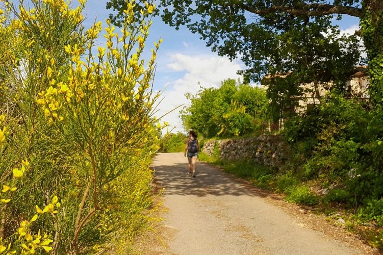 Haies colorées sur le chemin de La Rande