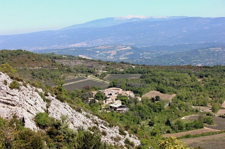 Auribeau et le Mont-Ventoux au loin