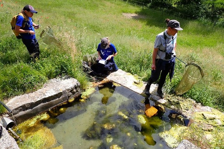 Prospections sur le vallon de Pétarelle