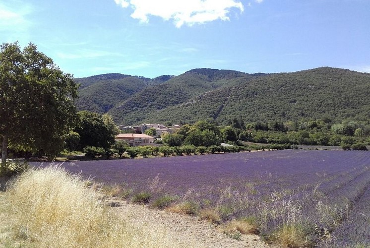 Auribeau au pied du Grand Luberon