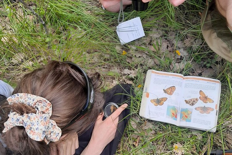 Prospections sur Auribeau