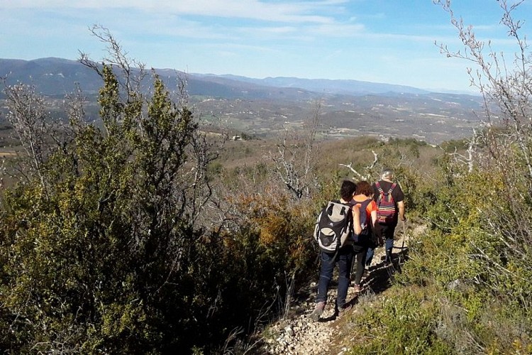 Sentier du Coteau de Bruny