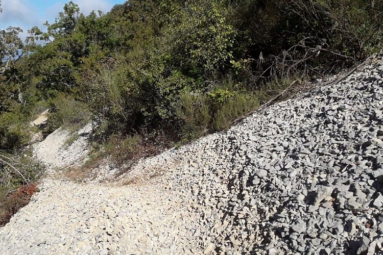 Pierrier du Coteau de Bruny