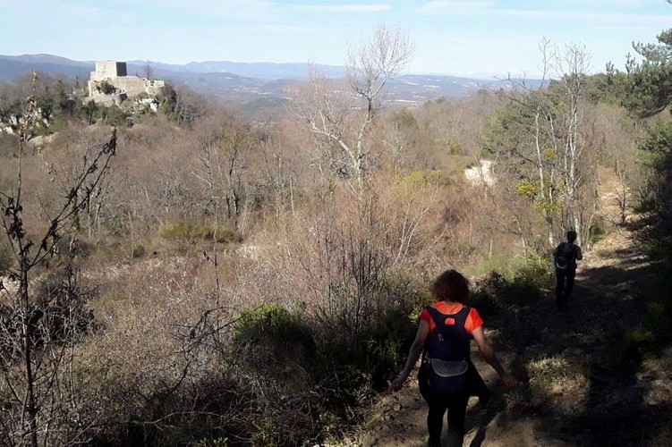 Gui blanc à l'approche du castrum d'Auribeau