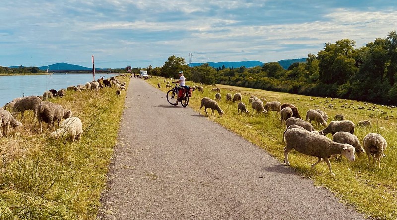 La Via Rhôna : Lyon - Montélimar