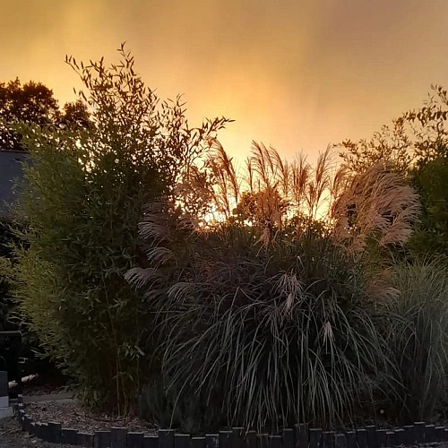 Chambres d'hôtes dans un écrin de verdure