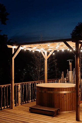 Cabane à l'ombre des charmes