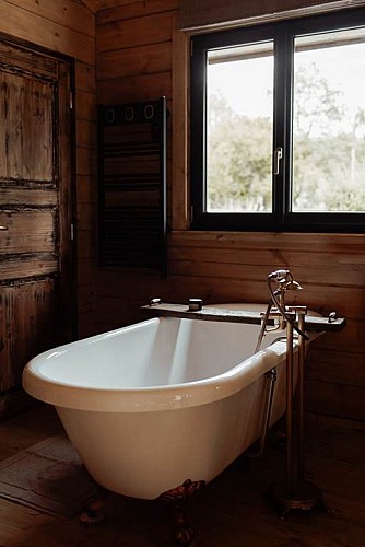 Cabane à l'ombre des charmes