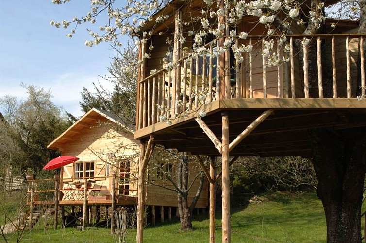 Cabane dans l'arbre
