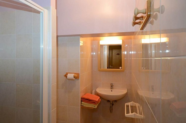 salle de bain dans la chambre