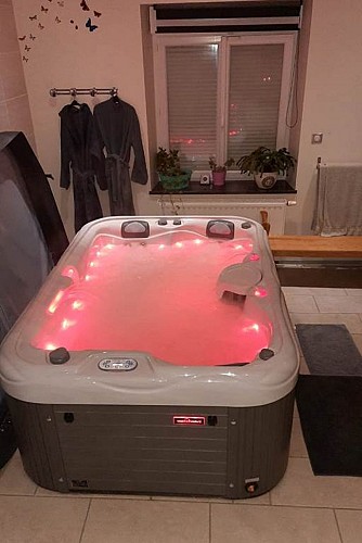 Chambres d'hôtes dans un ancien moulin, étang de 75 ares, pêche - Lonny - Ardennes