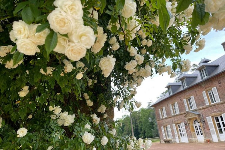 Domaine des Loches - Gîte De Gaupuy - Mazerny - Ardennes