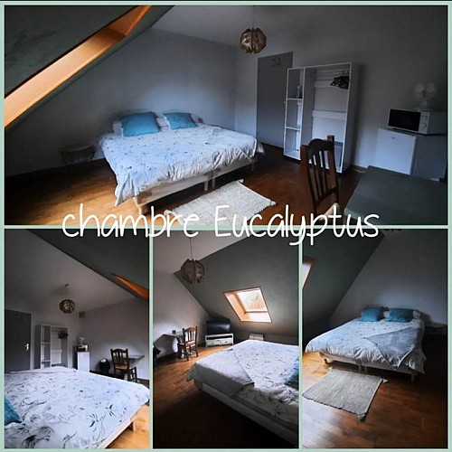 Chambre Eucalyptus