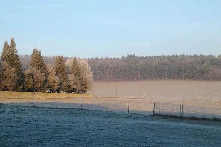 Gite Campagnard - Nouart - Ardennes