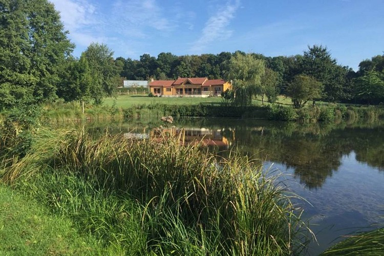 Gîte des Etangs de Bairon, chalet de charme dans un parc arboré avec ses 3 étangs - Louvergny - Ardennes