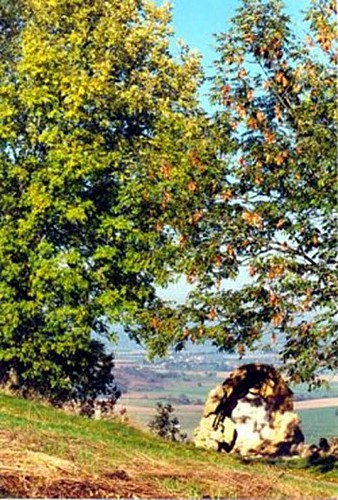 Gîte Etape - Ermitage Saint Walfroy