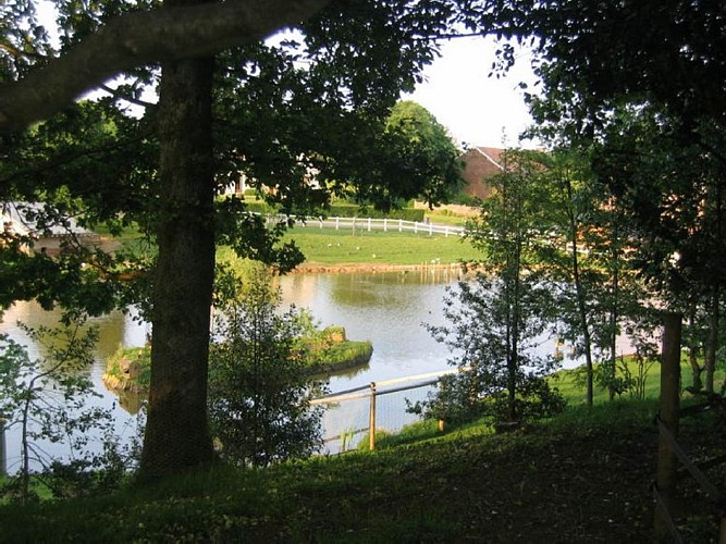 l'étang à proximité de la roulotte