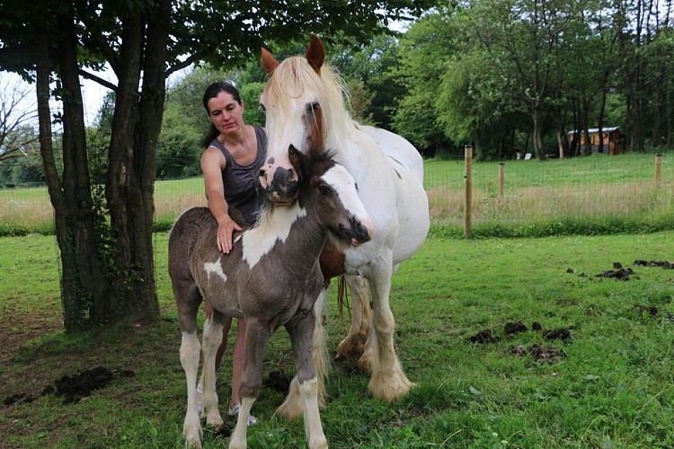 La propriétaire avec les chevaux