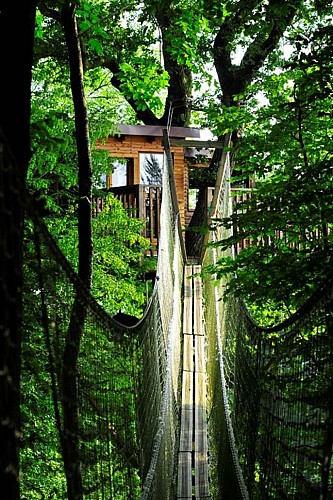 Cabanes dans les arbres