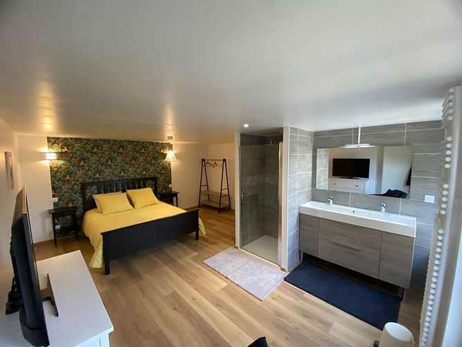L'hirondelle chambre double avec salle de douche